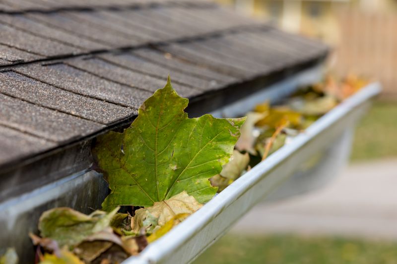 Clogged Gutter Blockage